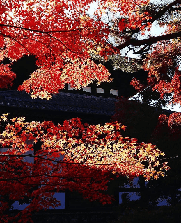 東福寺 No.2